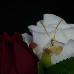 Collier avec Pendentif Double Cœur